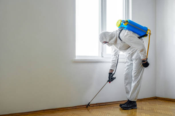 Best Pest Prevention Services  in Rimersburg, PA