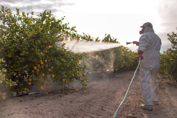 Best Insect Control  in Rimersburg, PA