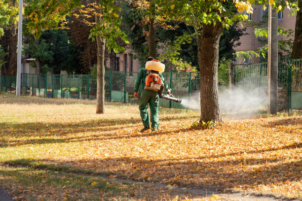 Wasp Removal Services in Rimersburg, PA